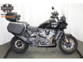 2021 Harley-Davidson Pan America Special for sale 201169849